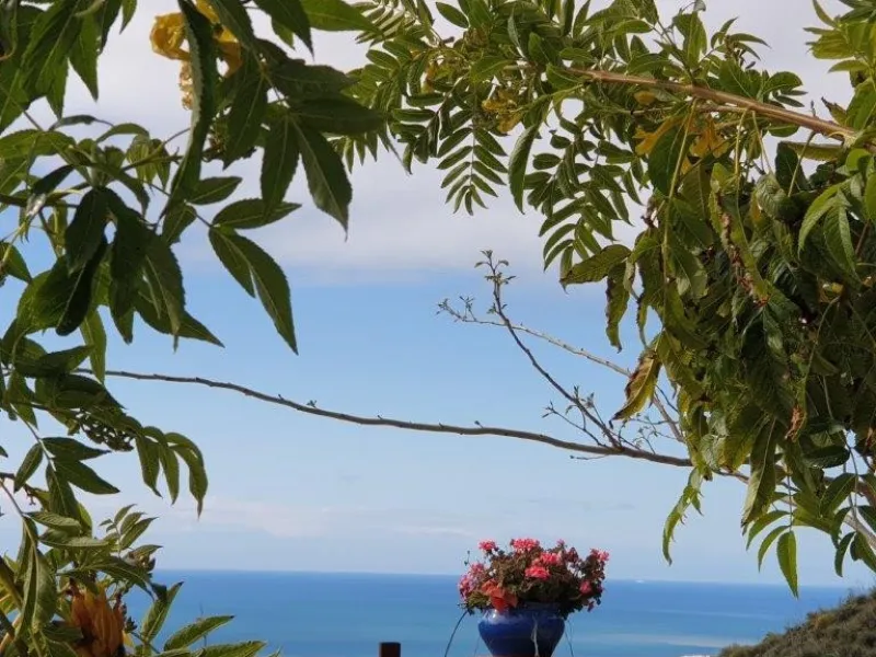 You are looking for a large villa with a heated swimming pool, neatly hidden nearly at the top of a mountain, surrounded by nature with breath-taking views of the valley up to the sea and the village of Arenas? This might just be what you are looking for.
