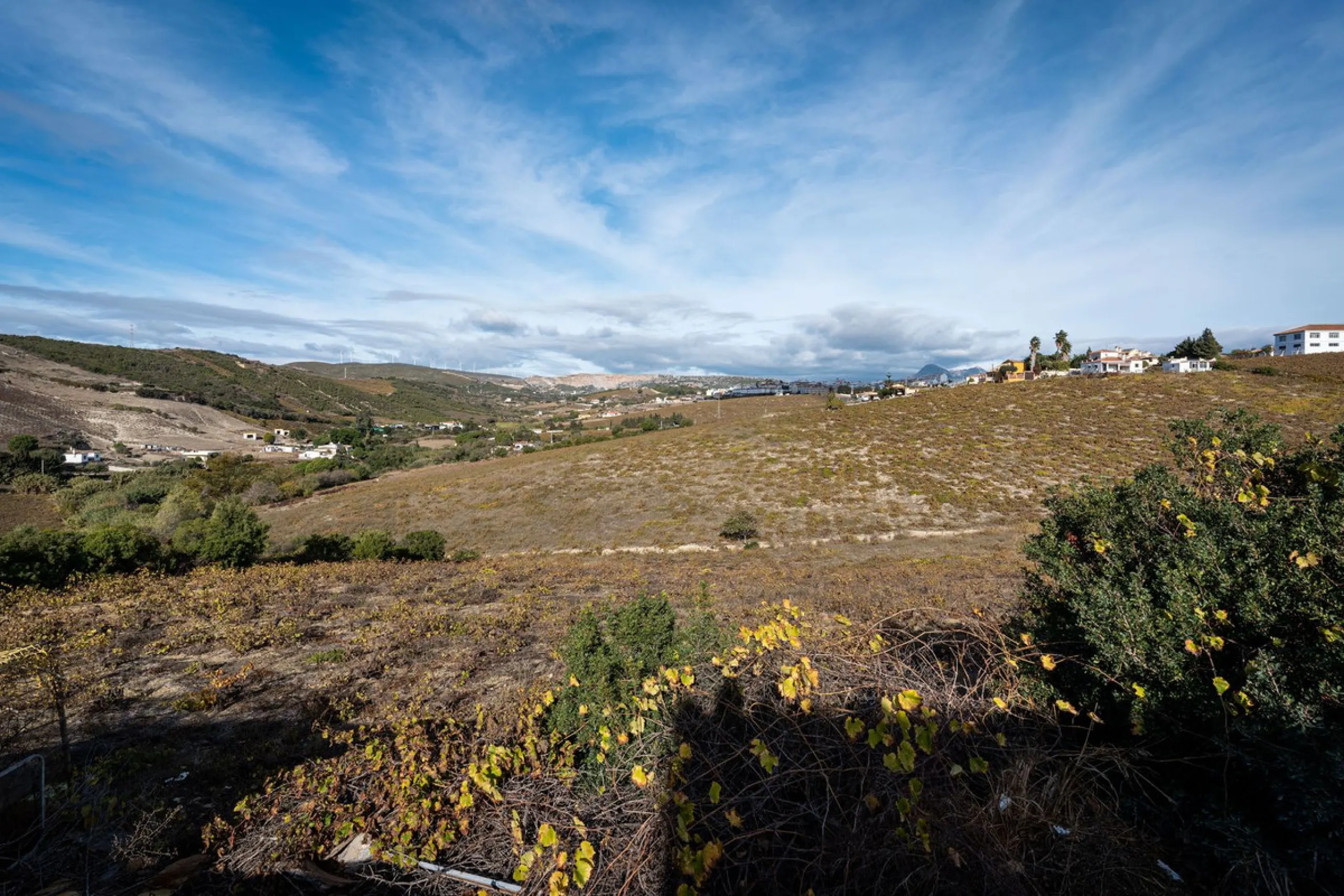 Land on undeveloped land for protection of vineyards with a house in Manilva.