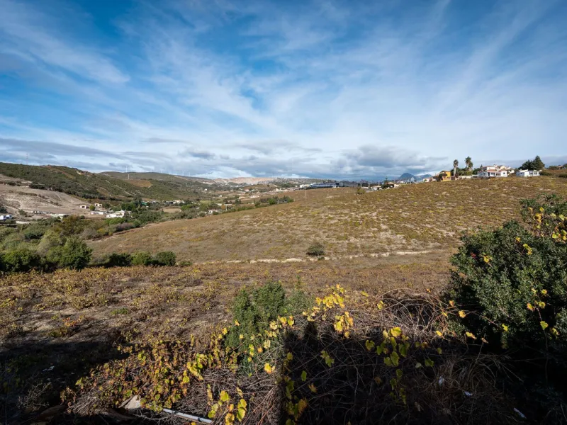 Land on undeveloped land for protection of vineyards with a house in Manilva.