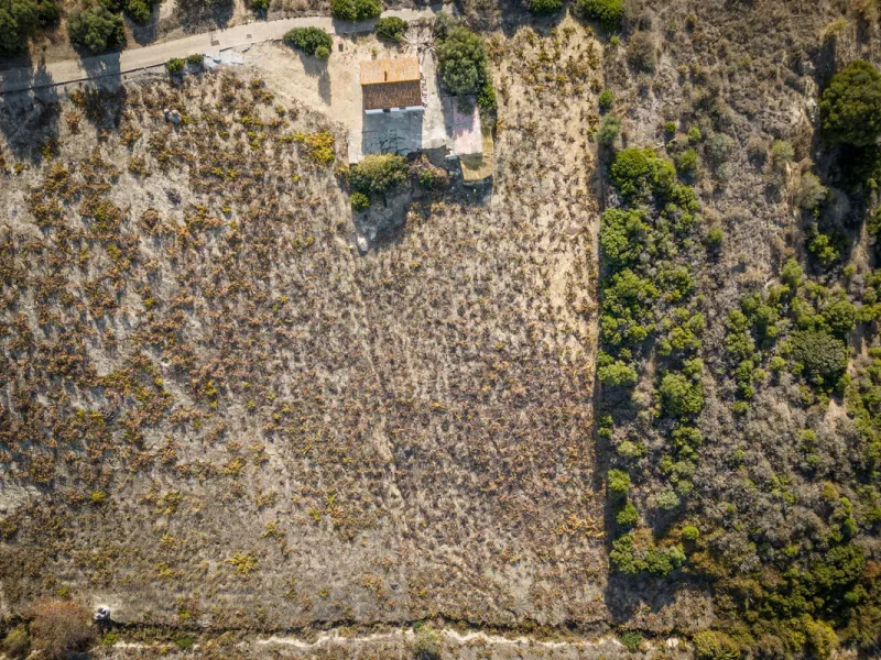 Land on undeveloped land for protection of vineyards with a house in Manilva.