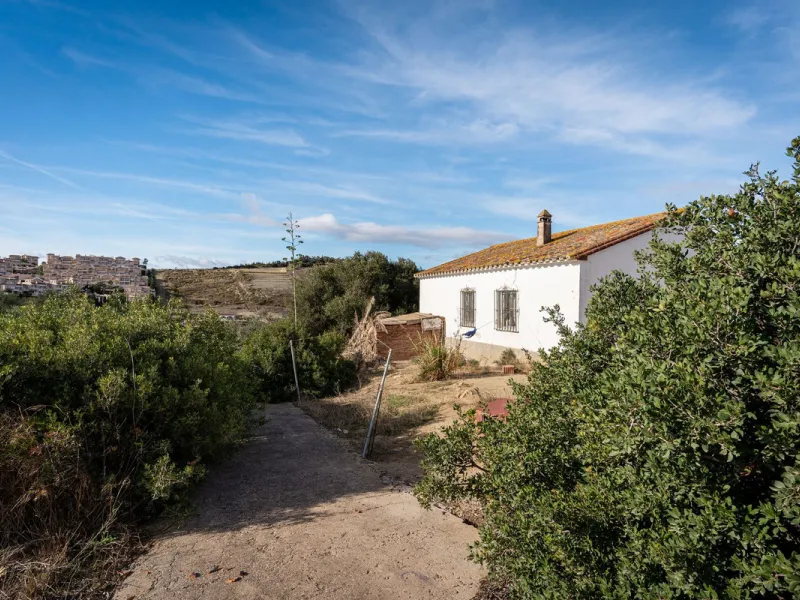 Land on undeveloped land for protection of vineyards with a house in Manilva.