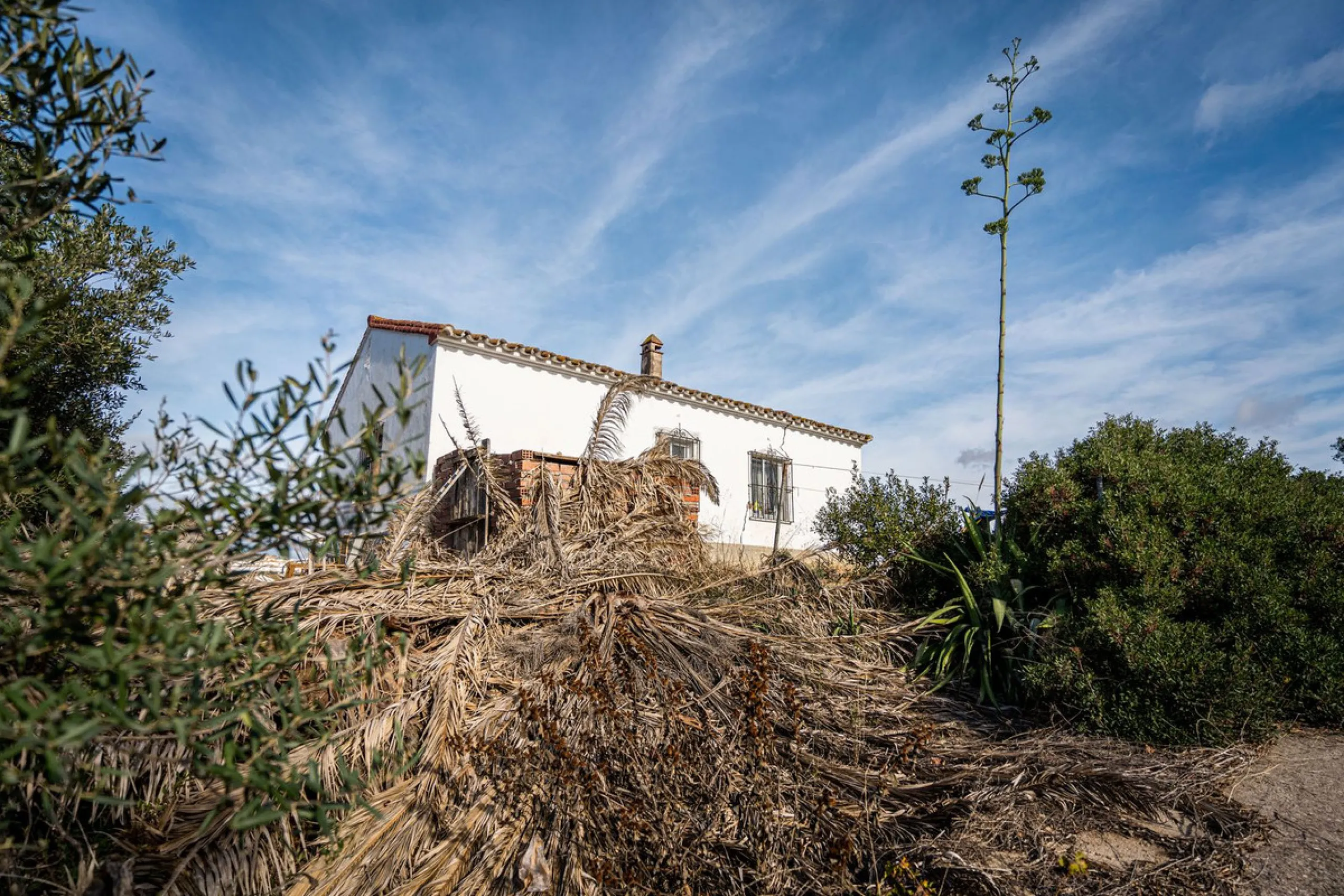 Land on undeveloped land for protection of vineyards with a house in Manilva.