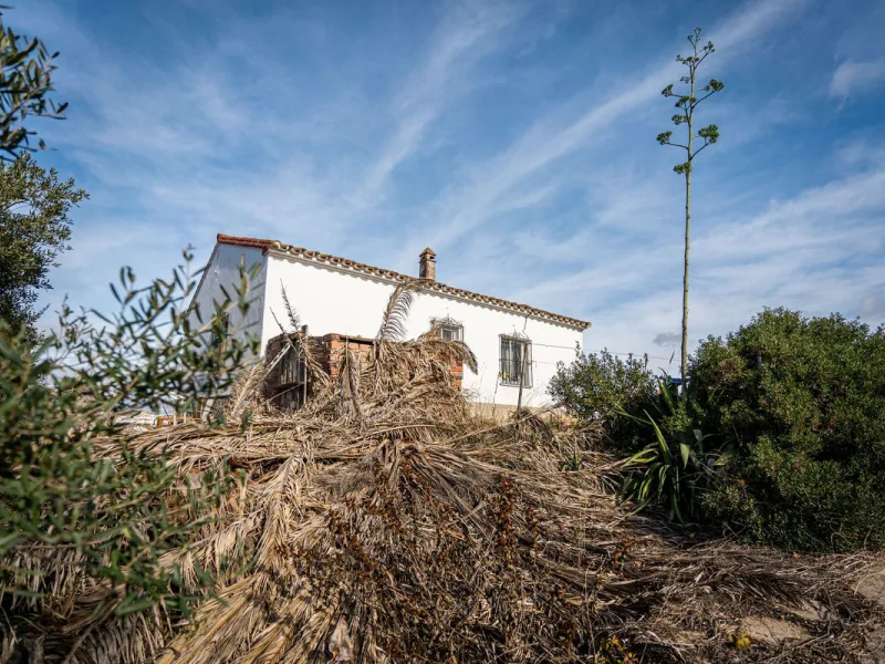 Land on undeveloped land for protection of vineyards with a house in Manilva.