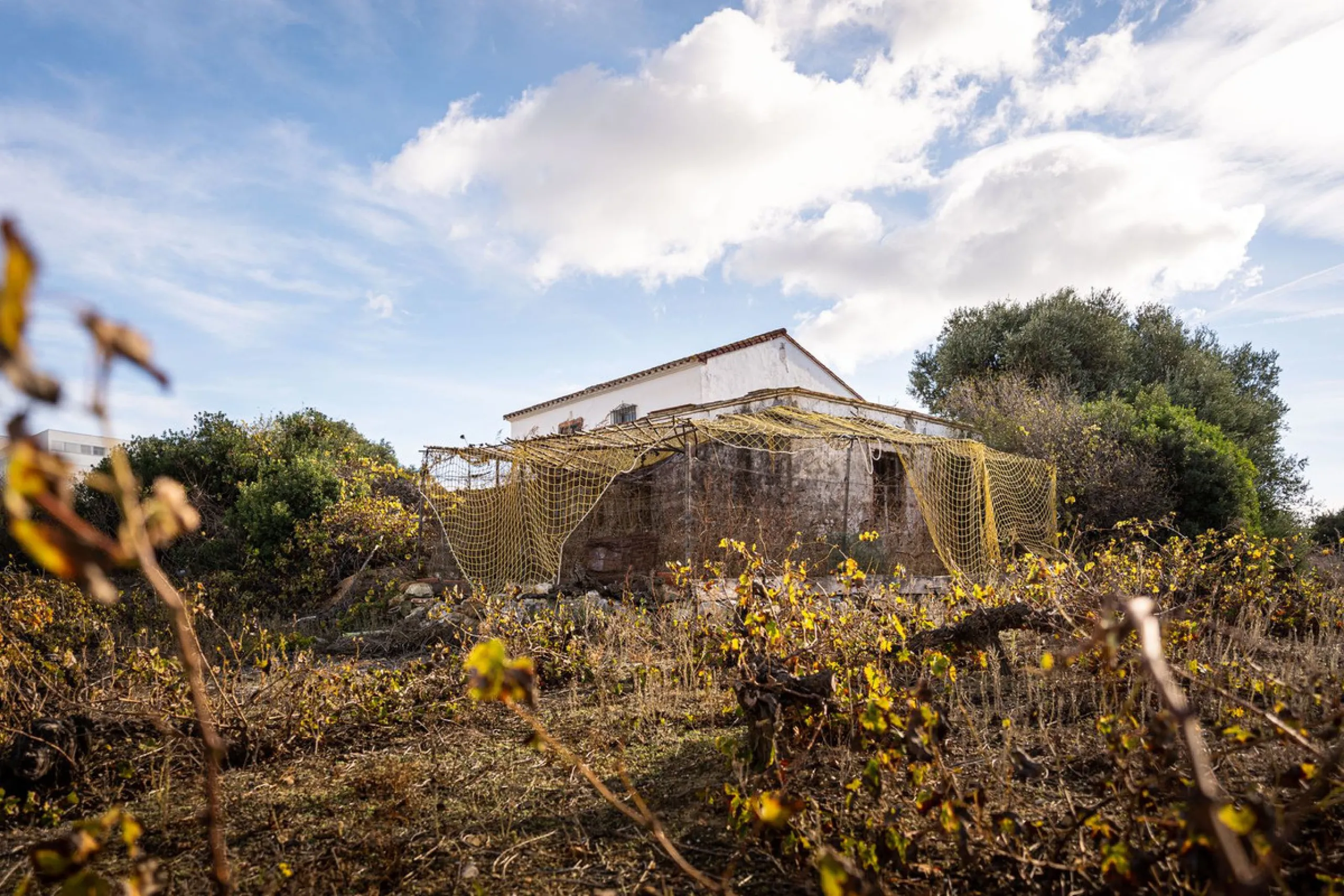 Land on undeveloped land for protection of vineyards with a house in Manilva.