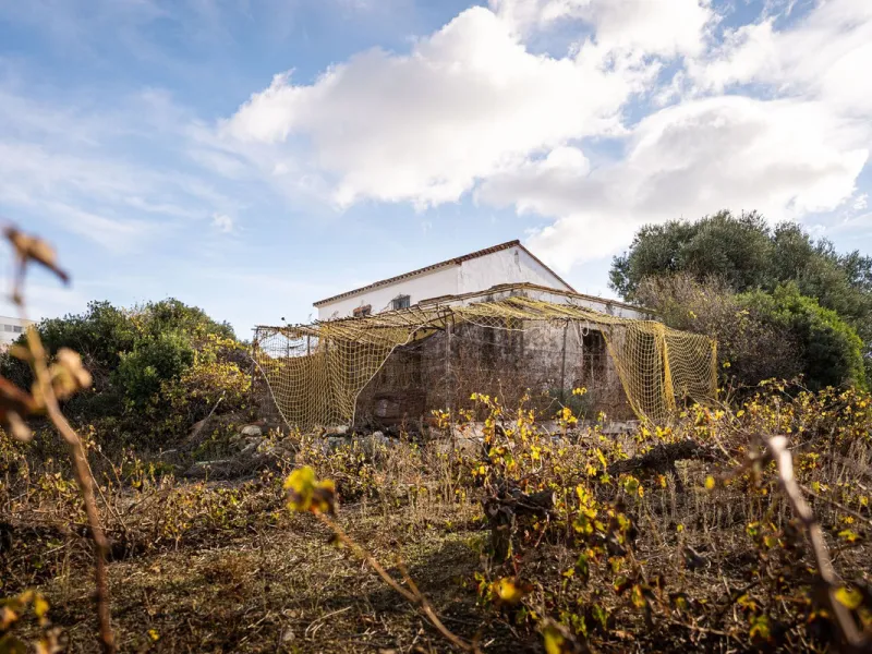 Land on undeveloped land for protection of vineyards with a house in Manilva.