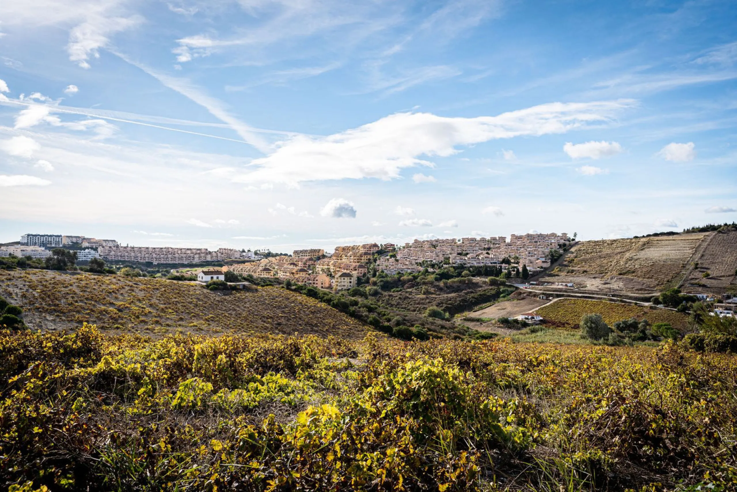 Land on undeveloped land for protection of vineyards with a house in Manilva.