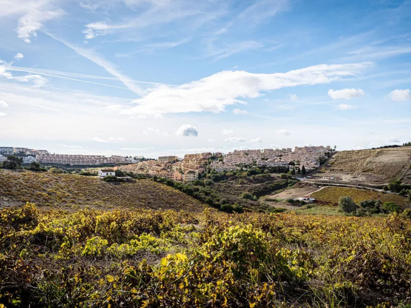 Land on undeveloped land for protection of vineyards with a house in Manilva.