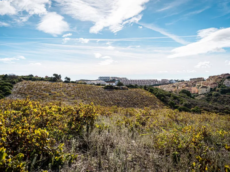 Land on undeveloped land for protection of vineyards with a house in Manilva.