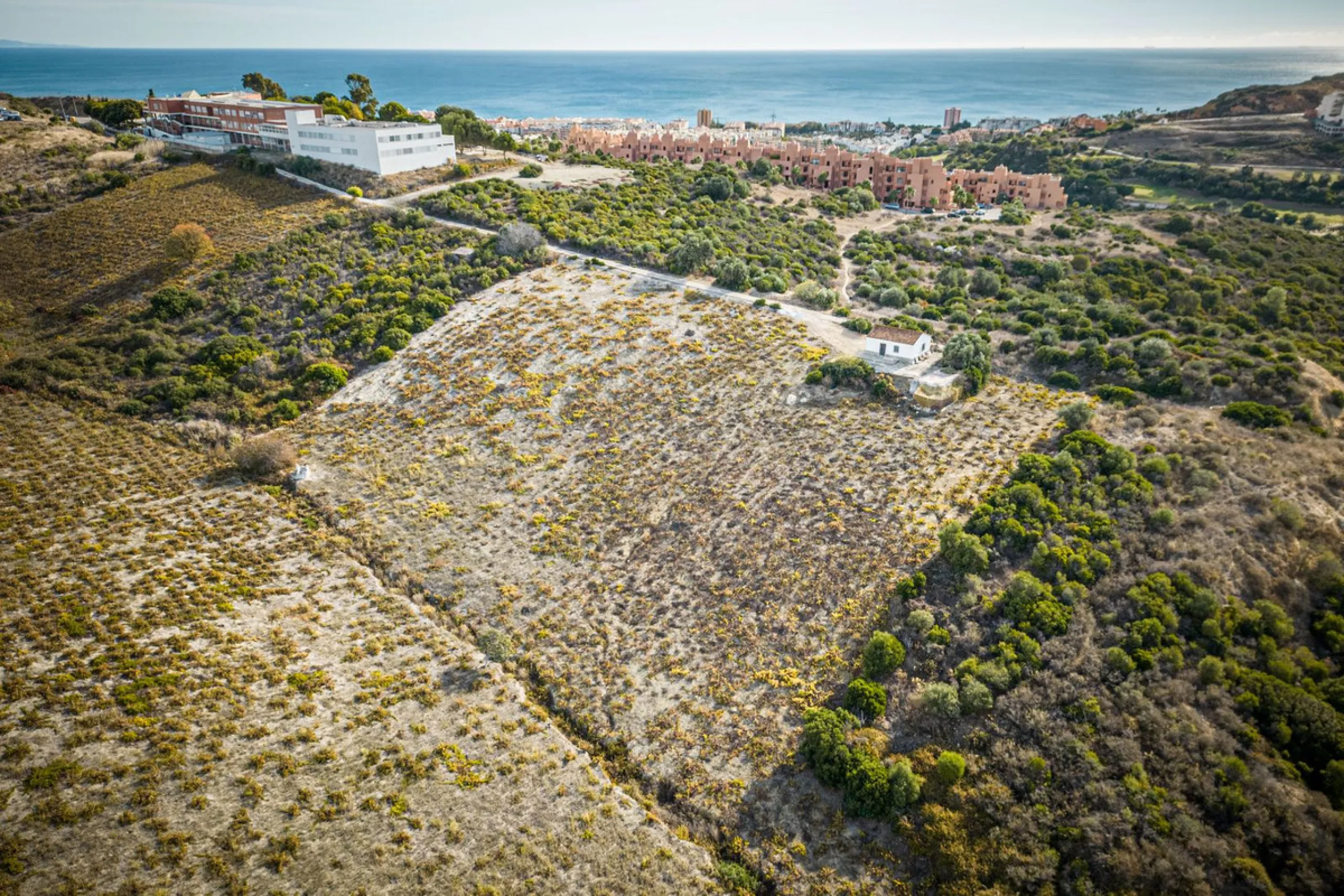 Land on undeveloped land for protection of vineyards with a house in Manilva.