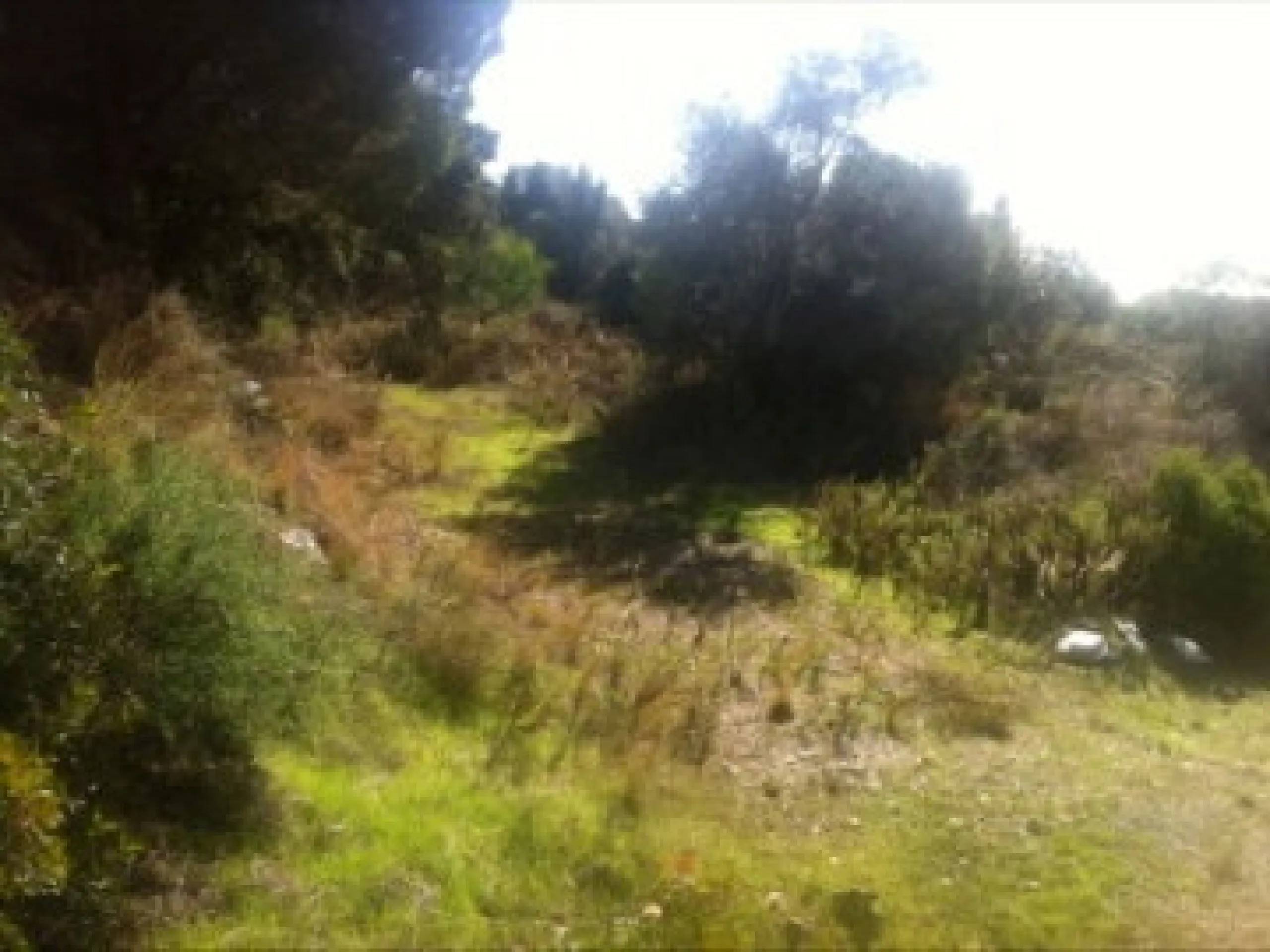 Plot - Residential Plot в продаже в Marbella, Málaga. Площадь участка 1250 м²