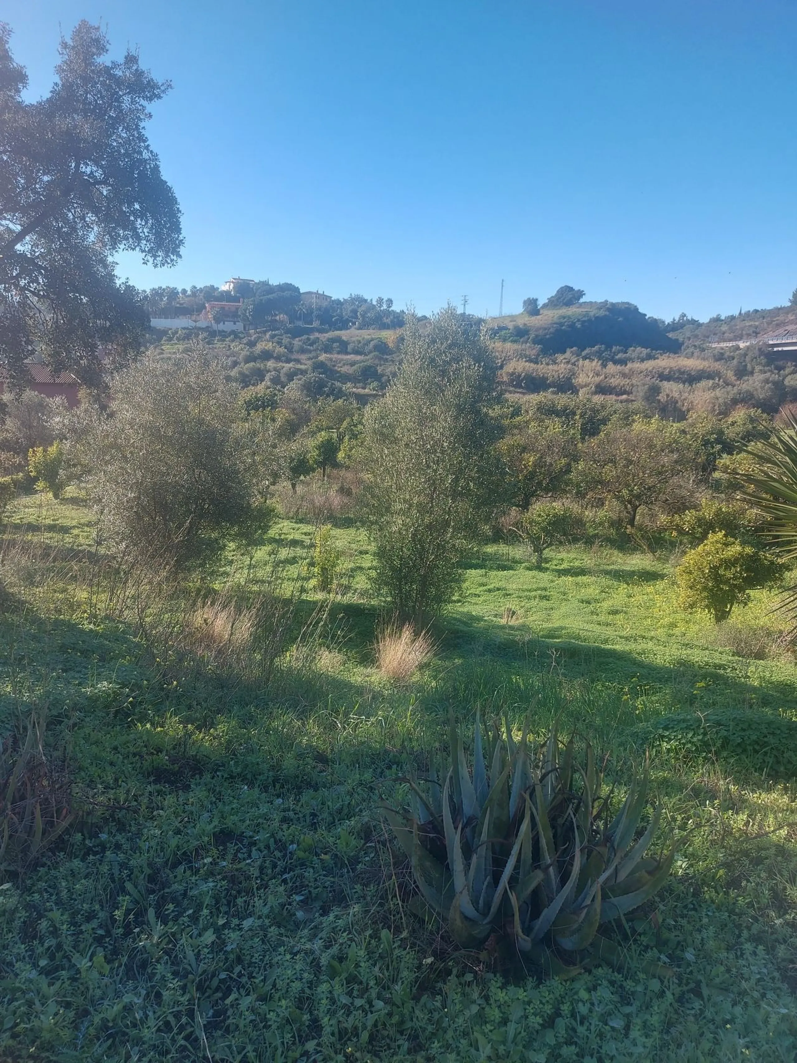 Finca - Cortijo, Estepona, Costa del Sol.