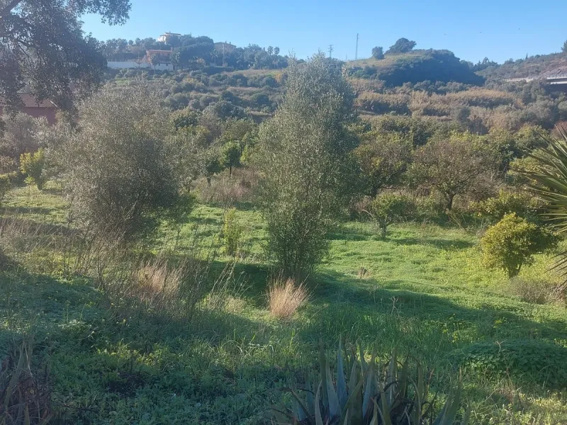 Finca - Cortijo, Estepona, Costa del Sol.