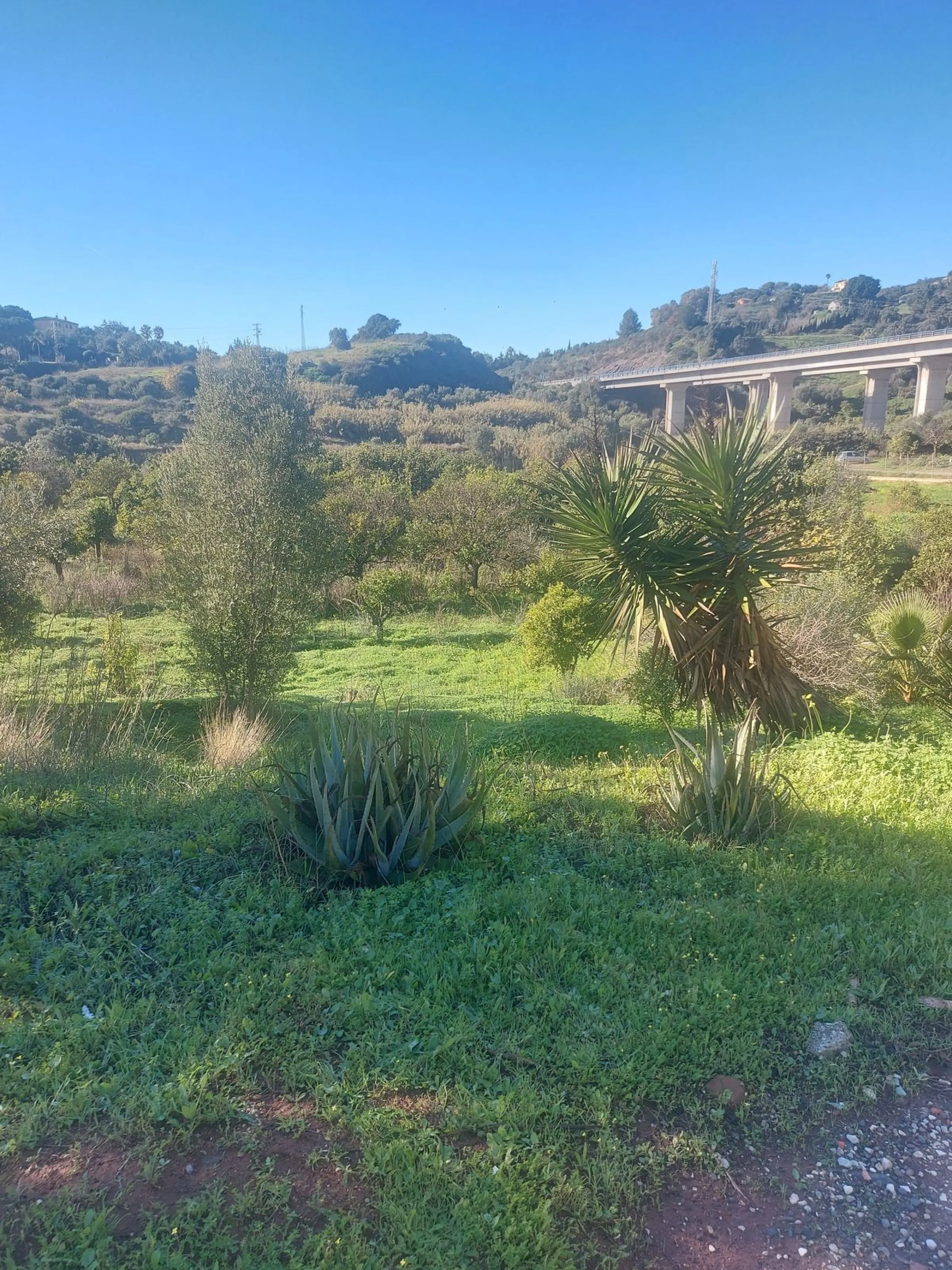Finca - Cortijo, Estepona, Costa del Sol.