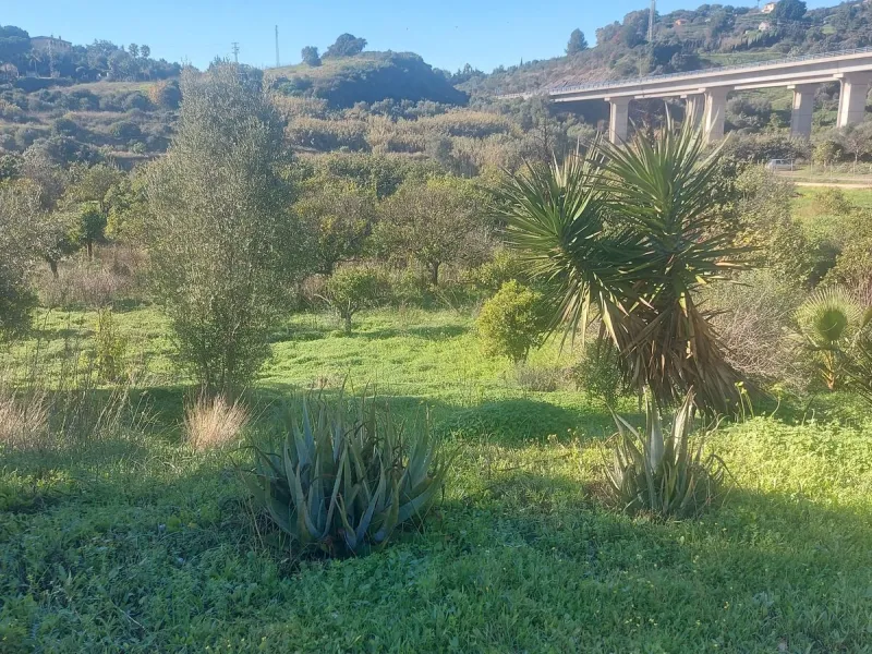 Finca - Cortijo, Estepona, Costa del Sol.