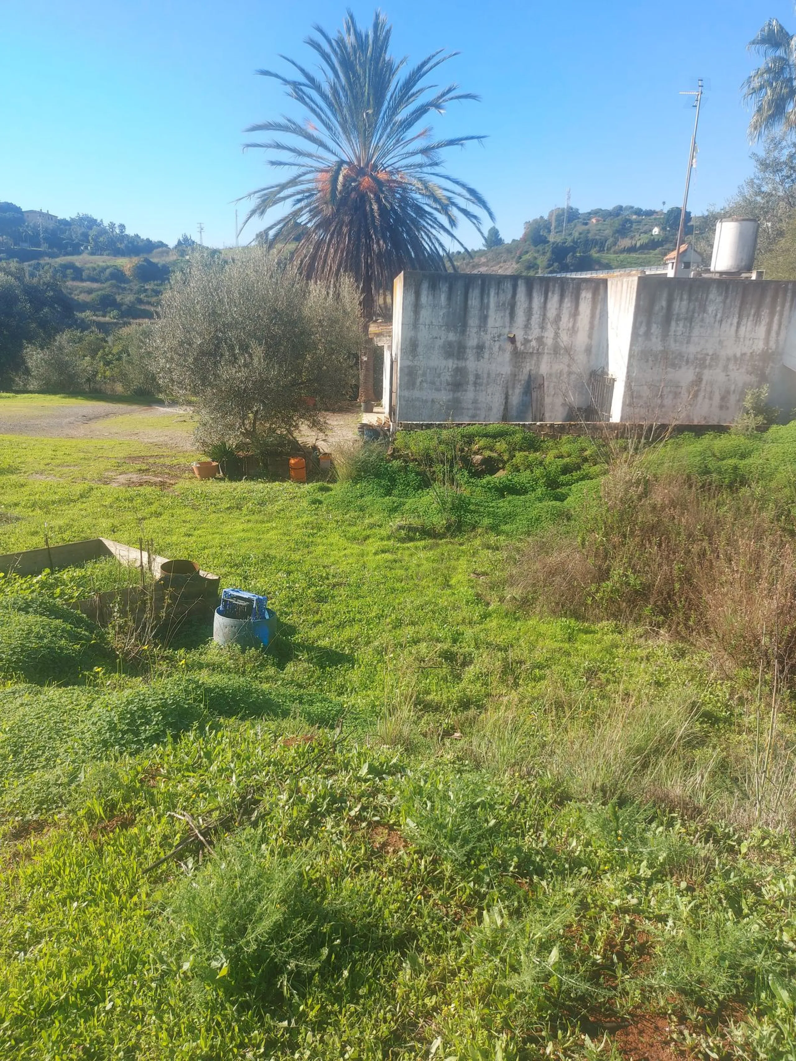Finca - Cortijo, Estepona, Costa del Sol.