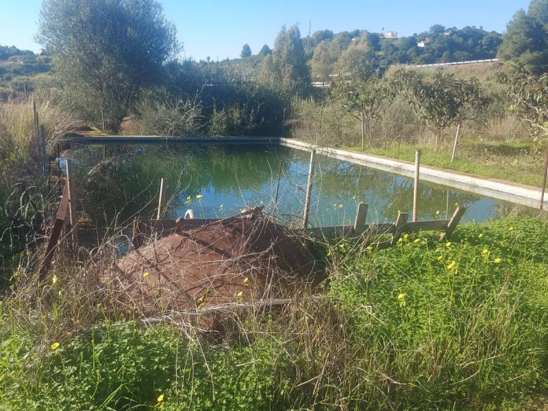 Finca - Cortijo, Estepona, Costa del Sol.
