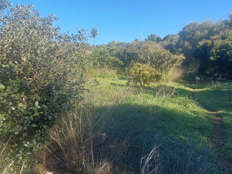 Finca - Cortijo, Estepona, Costa del Sol.