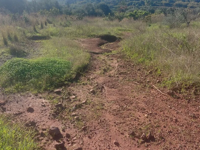 Finca - Cortijo, Estepona, Costa del Sol.