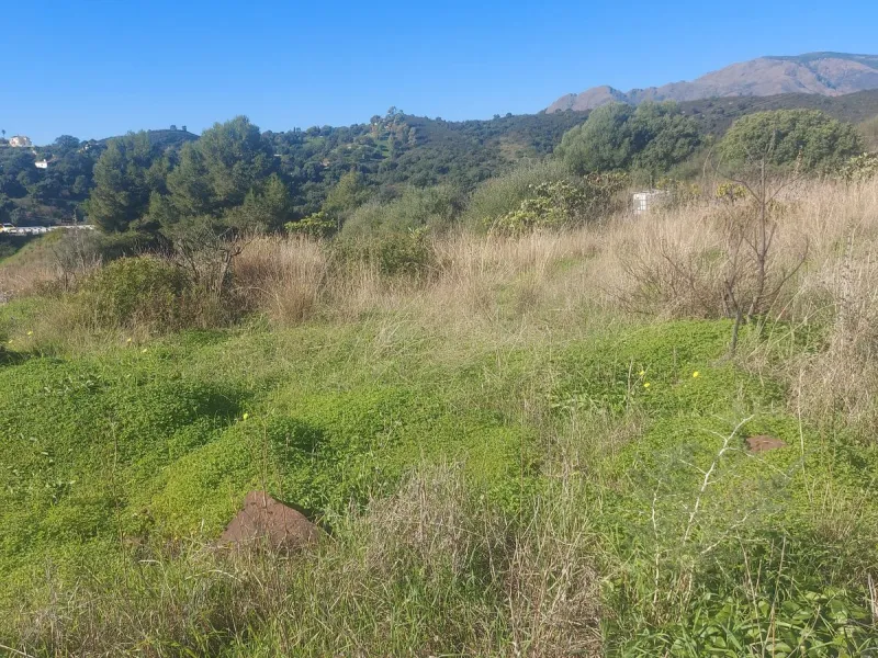 Finca - Cortijo, Estepona, Costa del Sol.