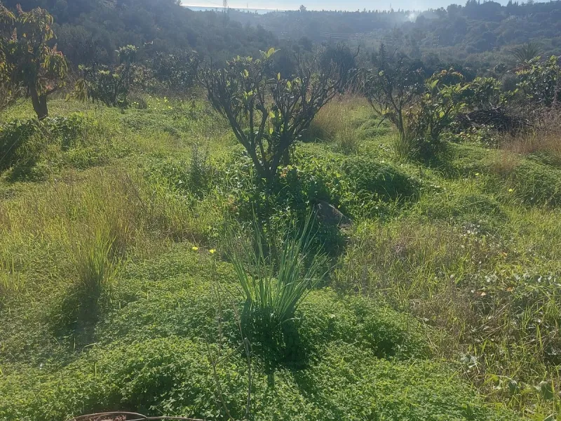 Finca - Cortijo, Estepona, Costa del Sol.