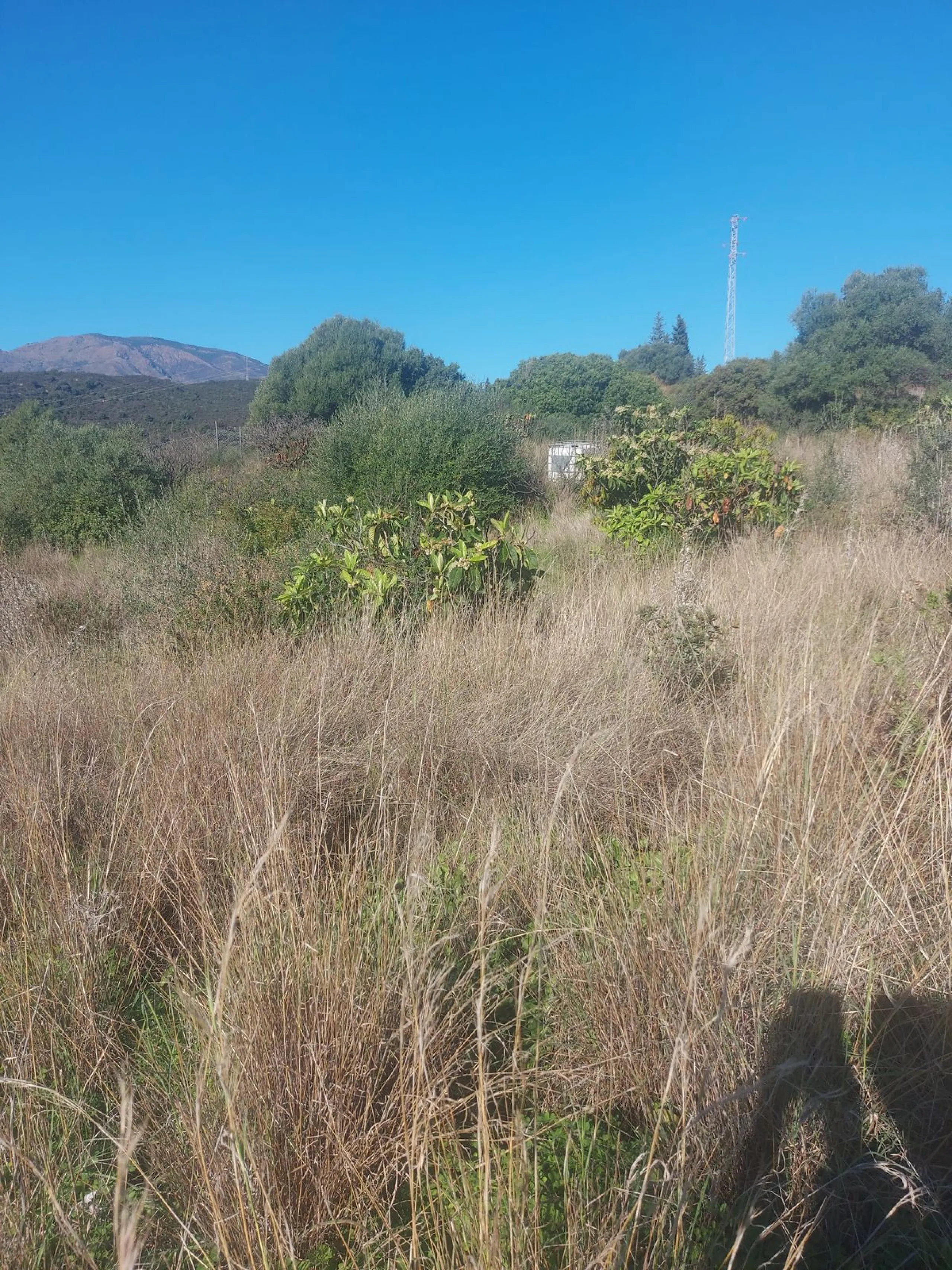 Finca - Cortijo, Estepona, Costa del Sol.
