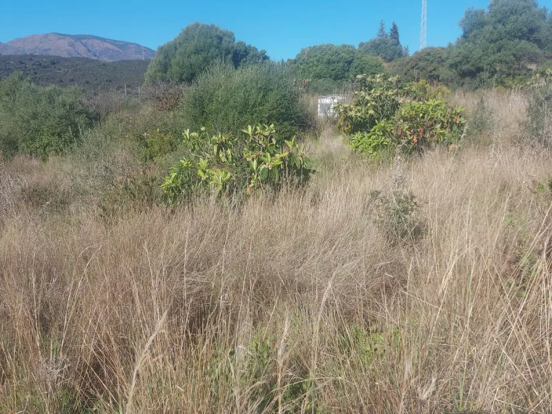Finca - Cortijo, Estepona, Costa del Sol.