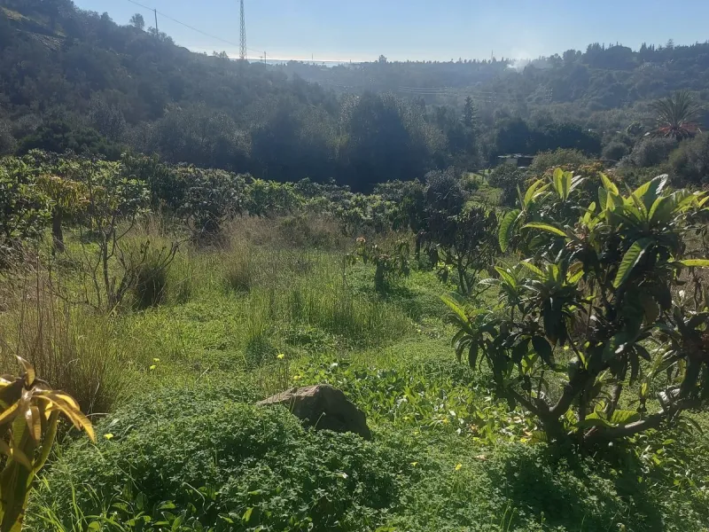 Finca - Cortijo, Estepona, Costa del Sol.