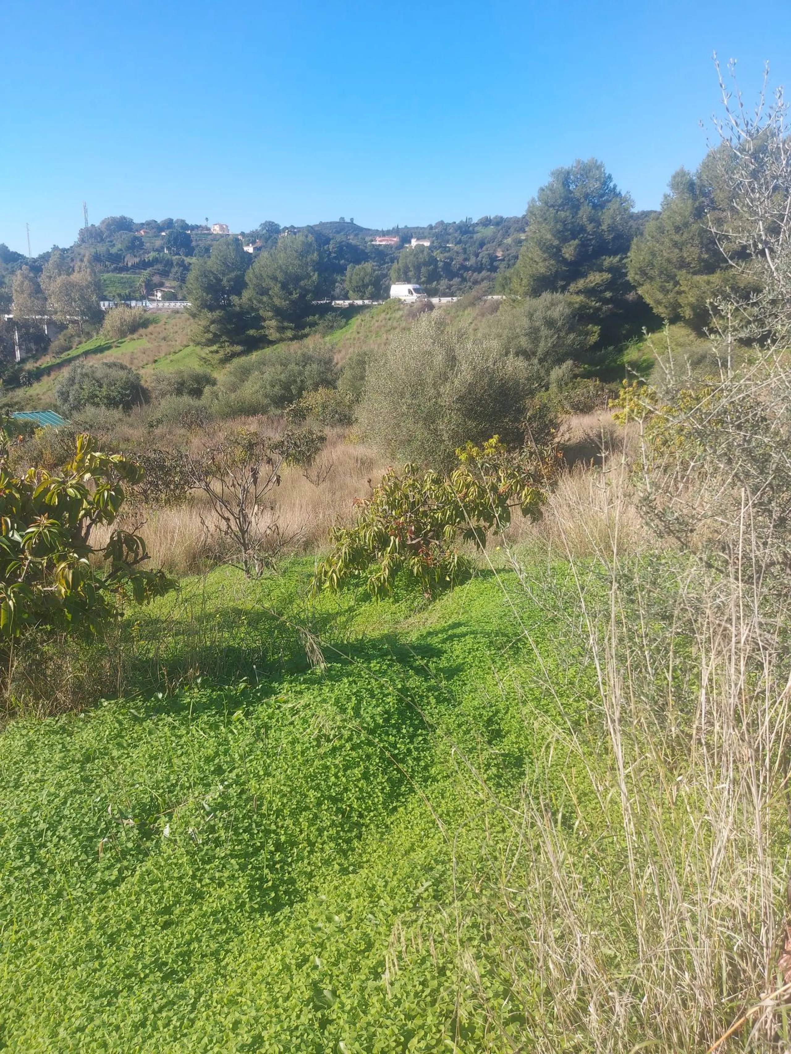 Finca - Cortijo, Estepona, Costa del Sol.