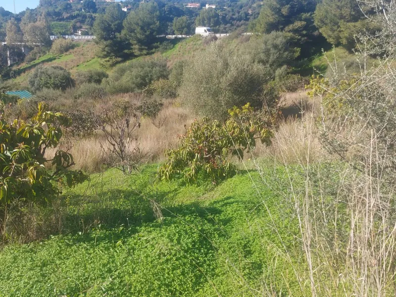 Finca - Cortijo, Estepona, Costa del Sol.