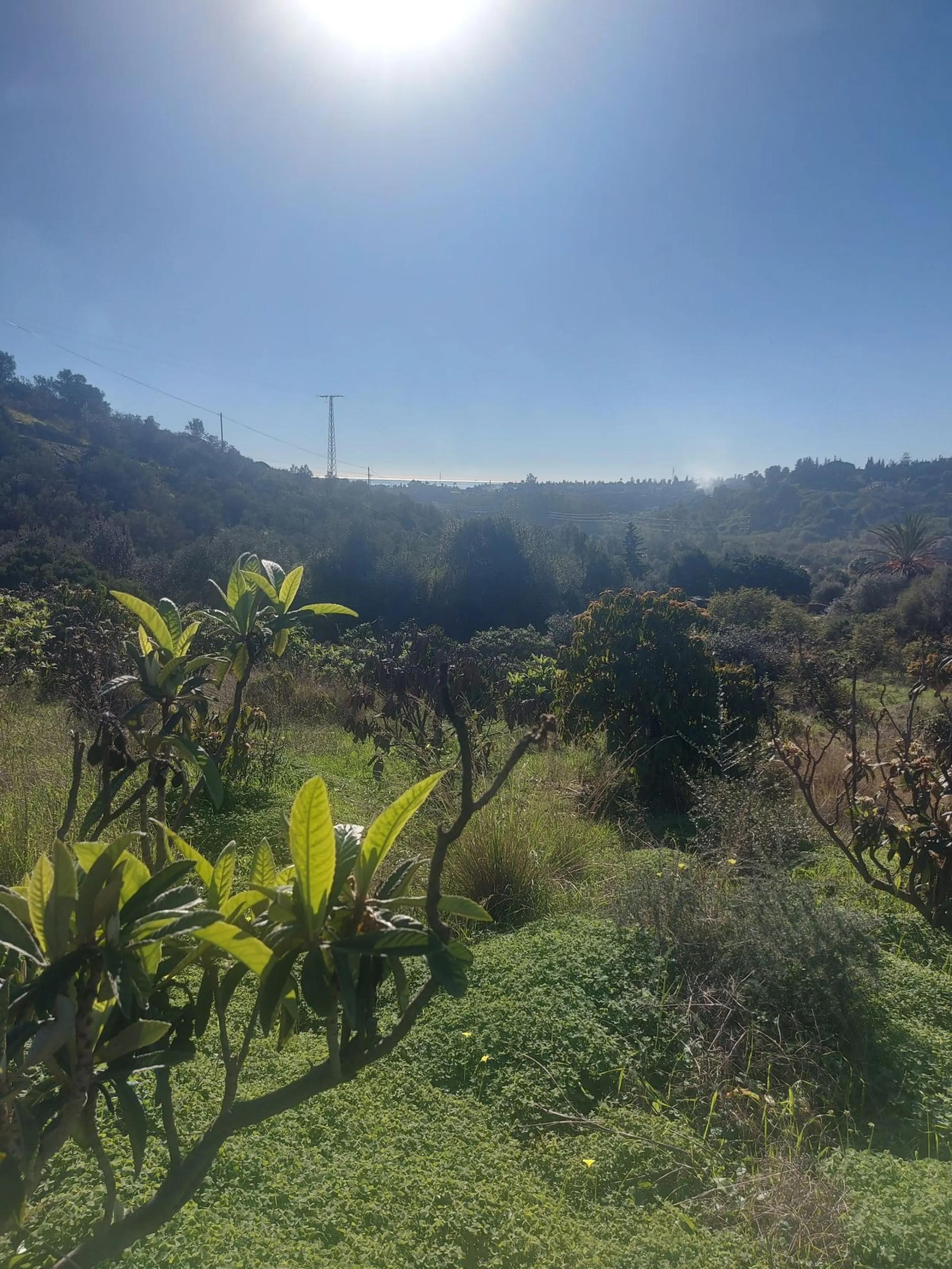 Finca - Cortijo, Estepona, Costa del Sol.