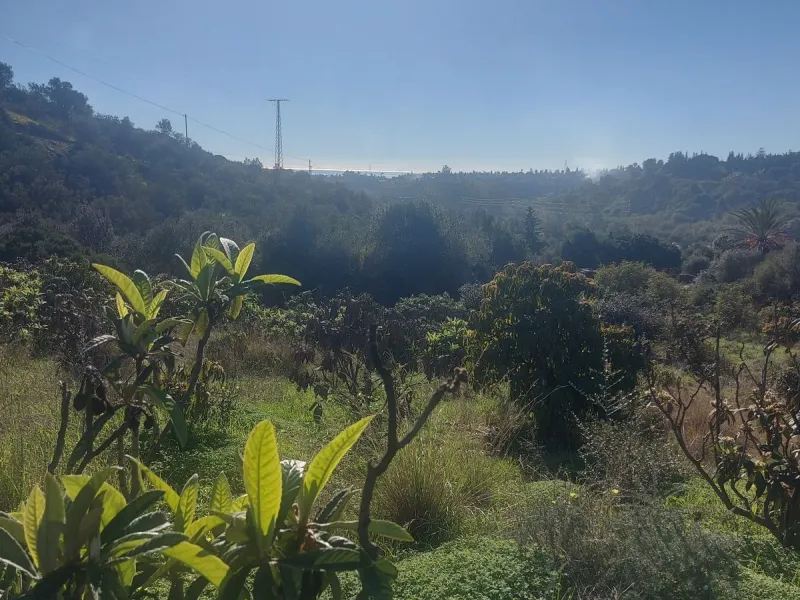 Finca - Cortijo, Estepona, Costa del Sol.