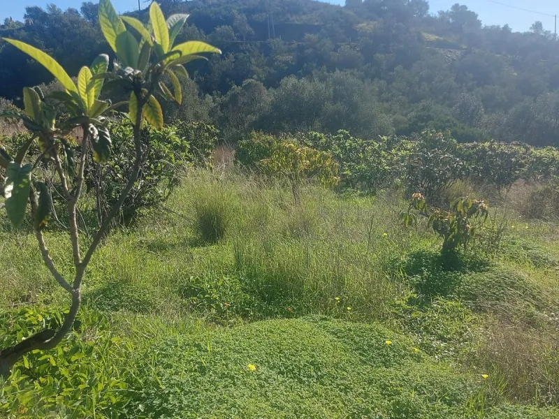 Finca - Cortijo, Estepona, Costa del Sol.