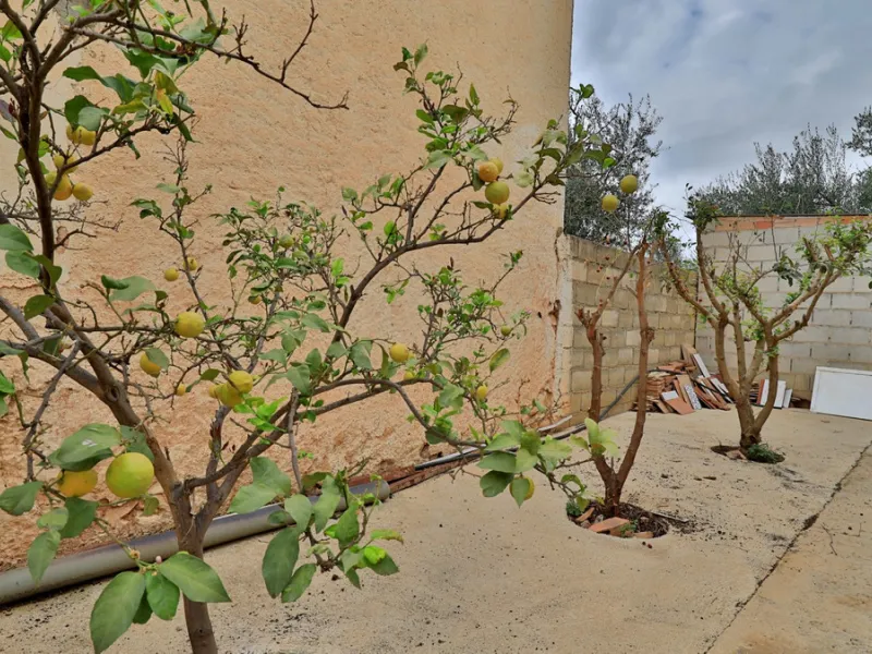 Attention entrepreneurs! Have you always dreamed of owning your own bar or opening a B&B in southern Spain? Here is the opportunity of a lifetime.   We offer you this bar with adjoining detached house that will be sold as 1 unit.   The bar is fully equipp