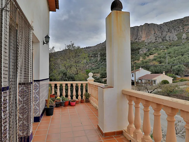 Attention entrepreneurs! Have you always dreamed of owning your own bar or opening a B&B in southern Spain? Here is the opportunity of a lifetime.   We offer you this bar with adjoining detached house that will be sold as 1 unit.   The bar is fully equipp