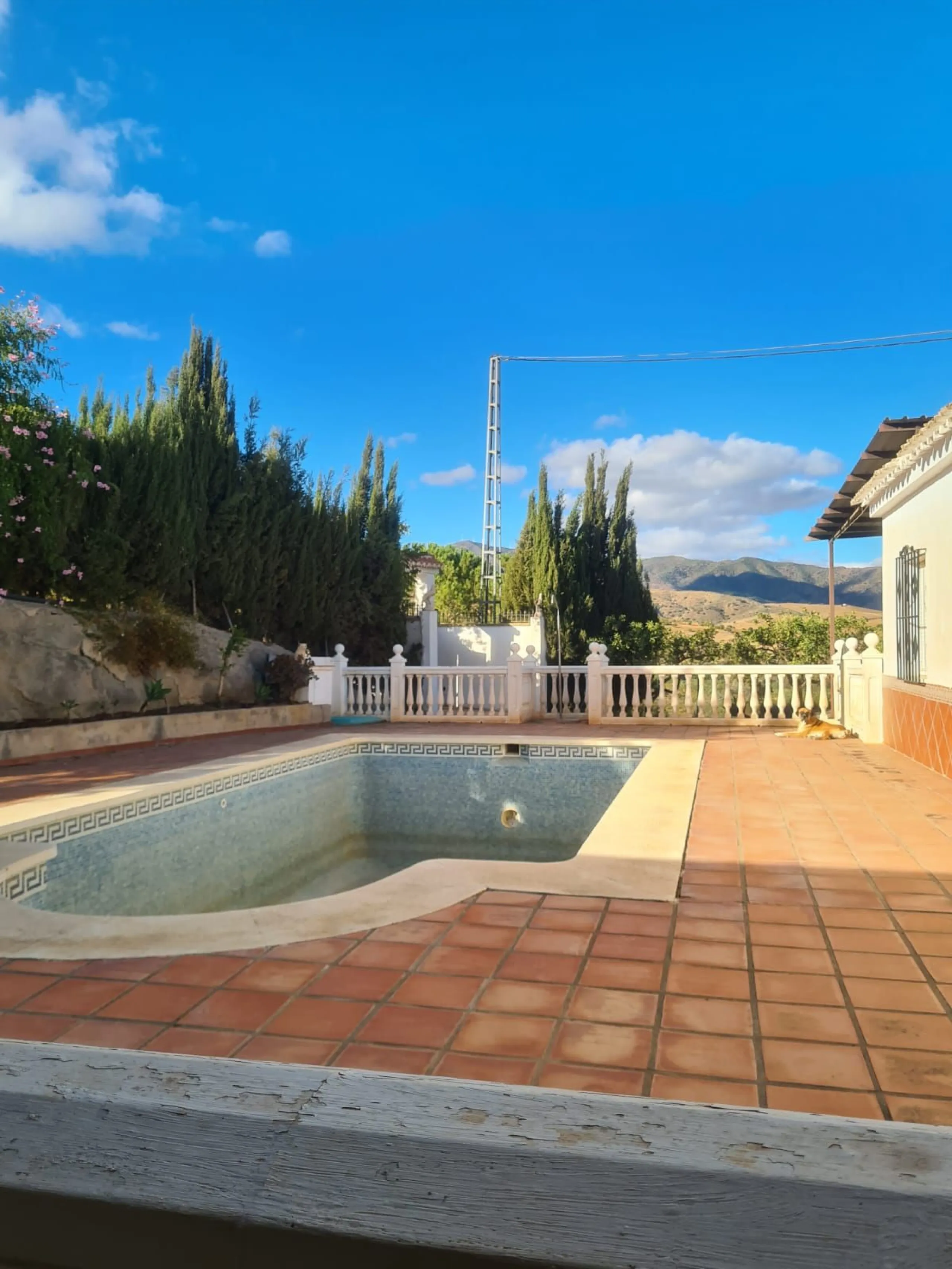 Lovely finca for sale with 120,000m2 land. Good access just 4 minutes from the main road.