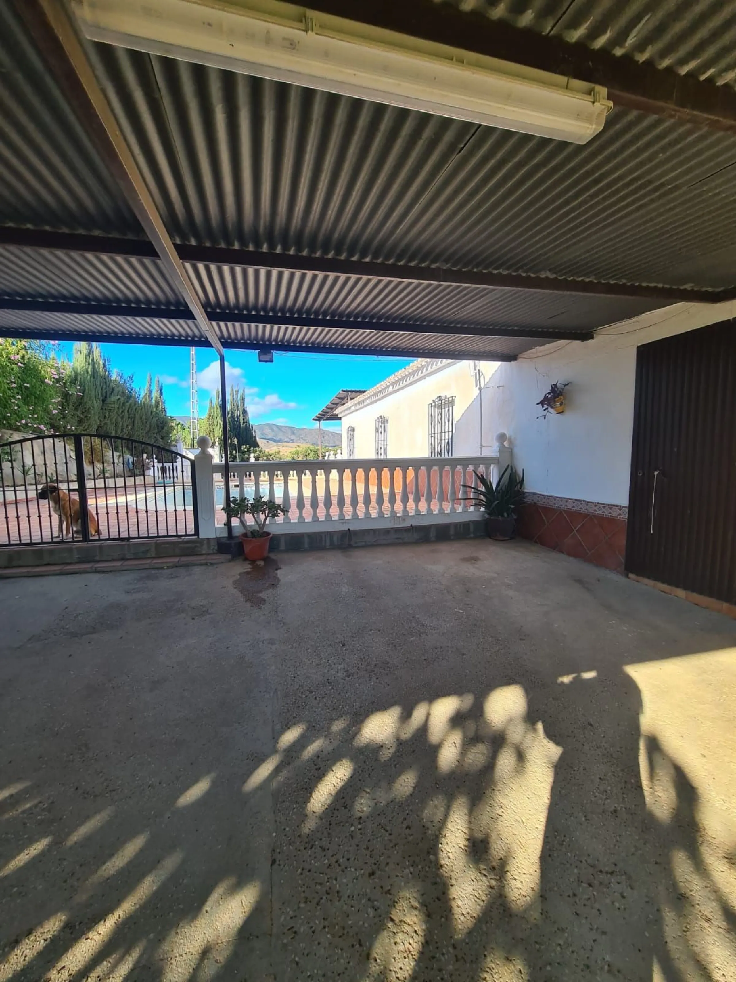 Lovely finca for sale with 120,000m2 land. Good access just 4 minutes from the main road.