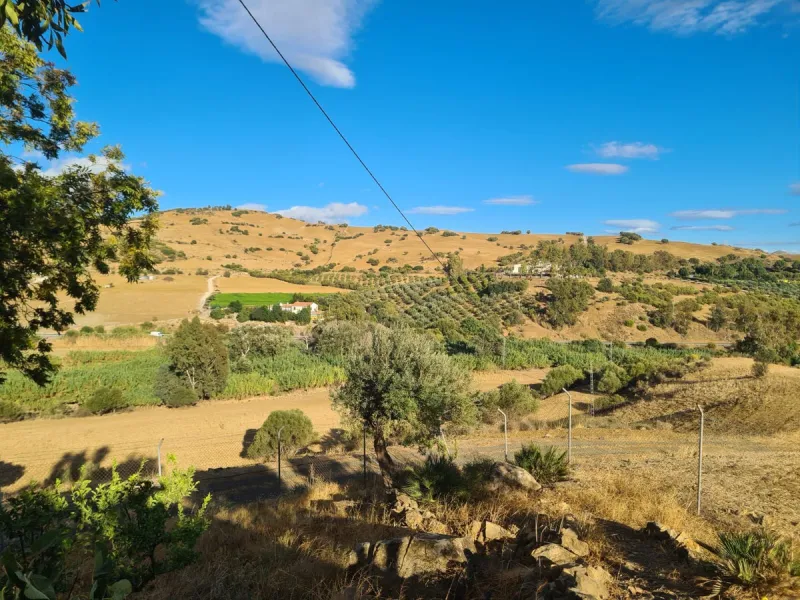 Lovely finca for sale with 120,000m2 land. Good access just 4 minutes from the main road.