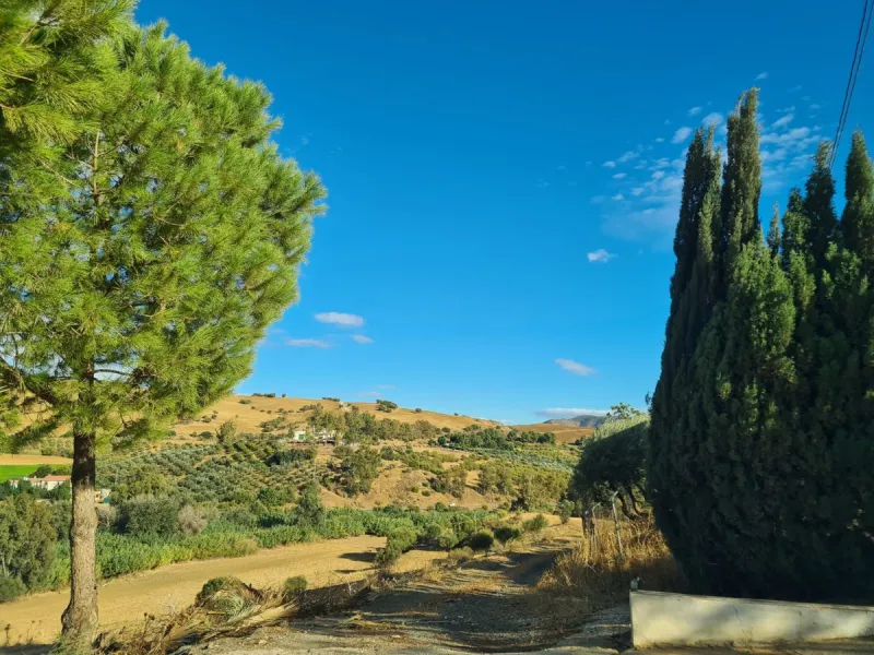 Lovely finca for sale with 120,000m2 land. Good access just 4 minutes from the main road.