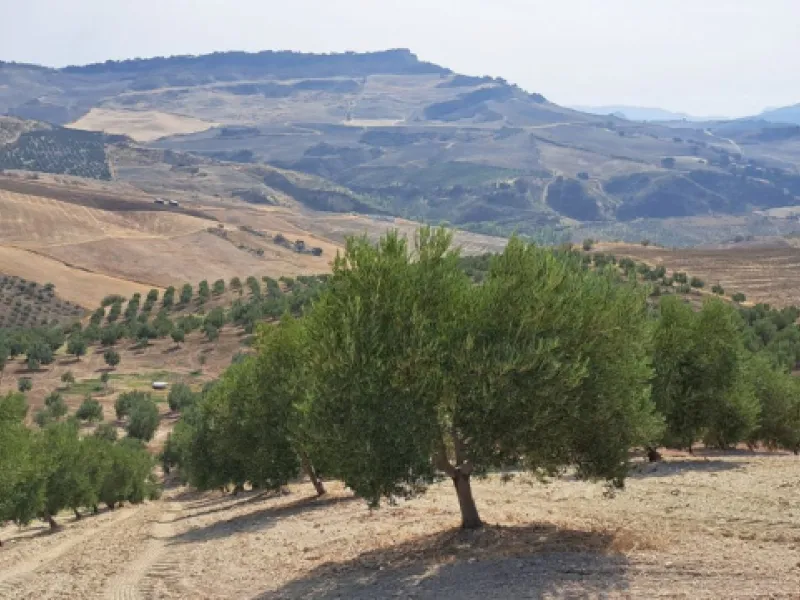 Plot - Land в продаже в Ronda, Málaga. Площадь участка 370000 м²