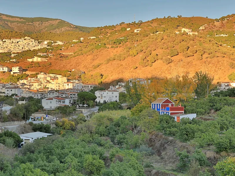 Welcome to this avocado plantation with character detached house. Offered here is a plantation with 800 avocado trees and 35 lime caviar bushes. This plantation has water from its own well and is connected for water to the Archez grid. An additional 200 t