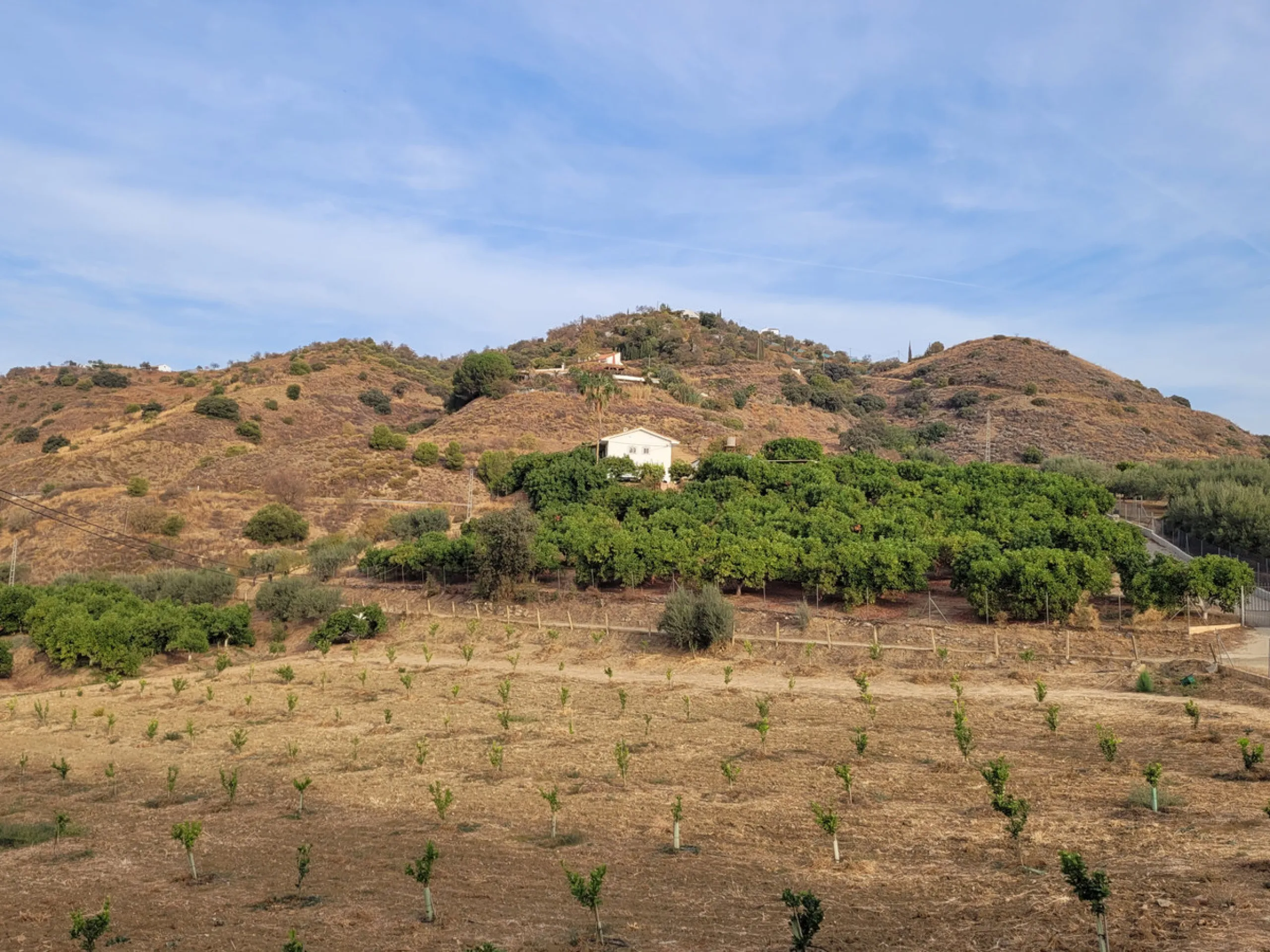 Plot - Land в продаже в Guaro, Málaga. Площадь участка 110000 м²