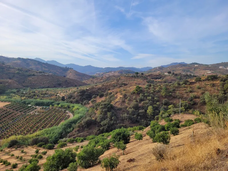 Plot - Land в продаже в Guaro, Málaga. Площадь участка 110000 м²