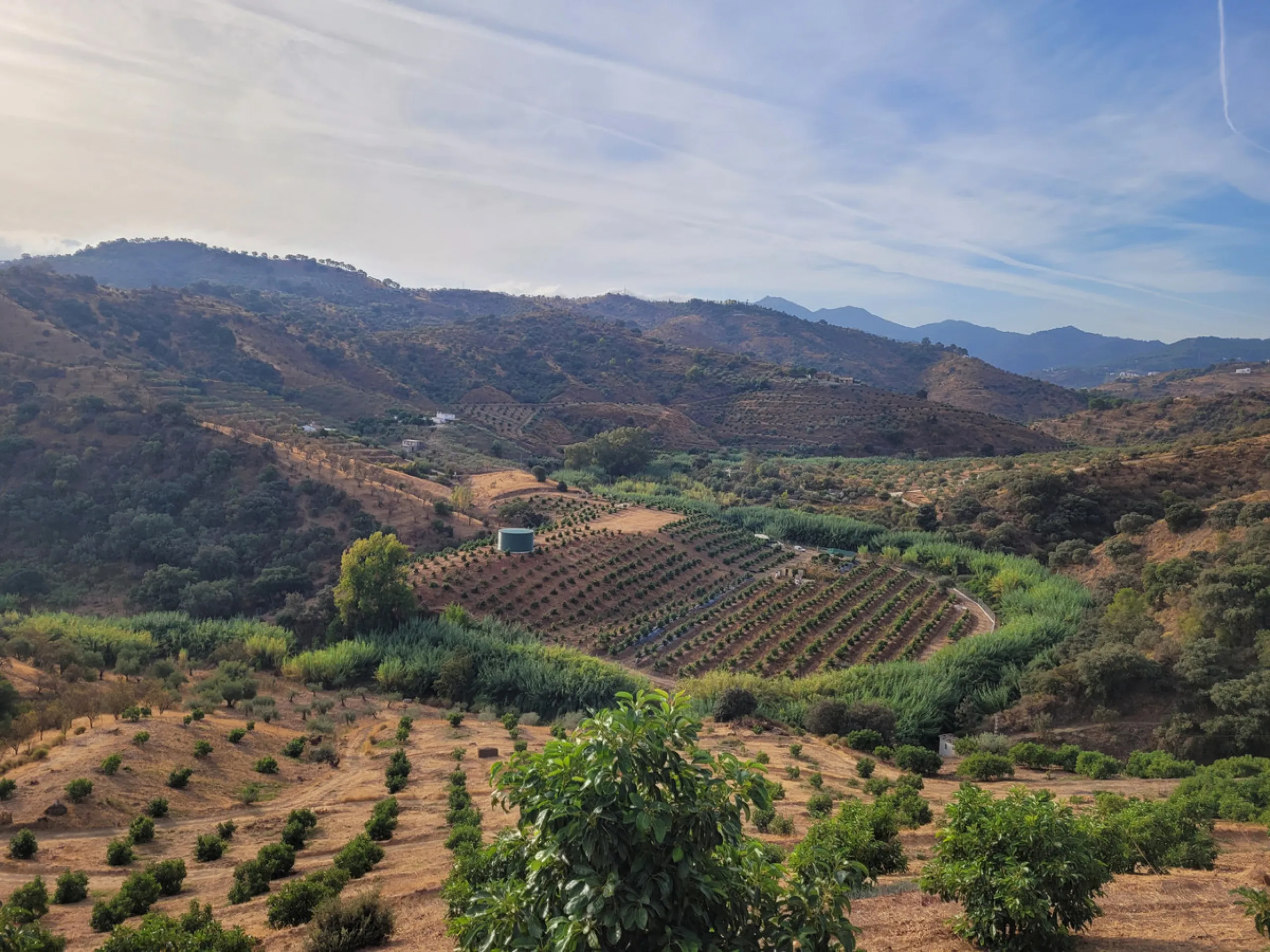 Plot - Land в продаже в Guaro, Málaga. Площадь участка 110000 м²