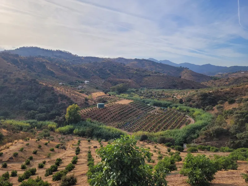 Plot - Land в продаже в Guaro, Málaga. Площадь участка 110000 м²