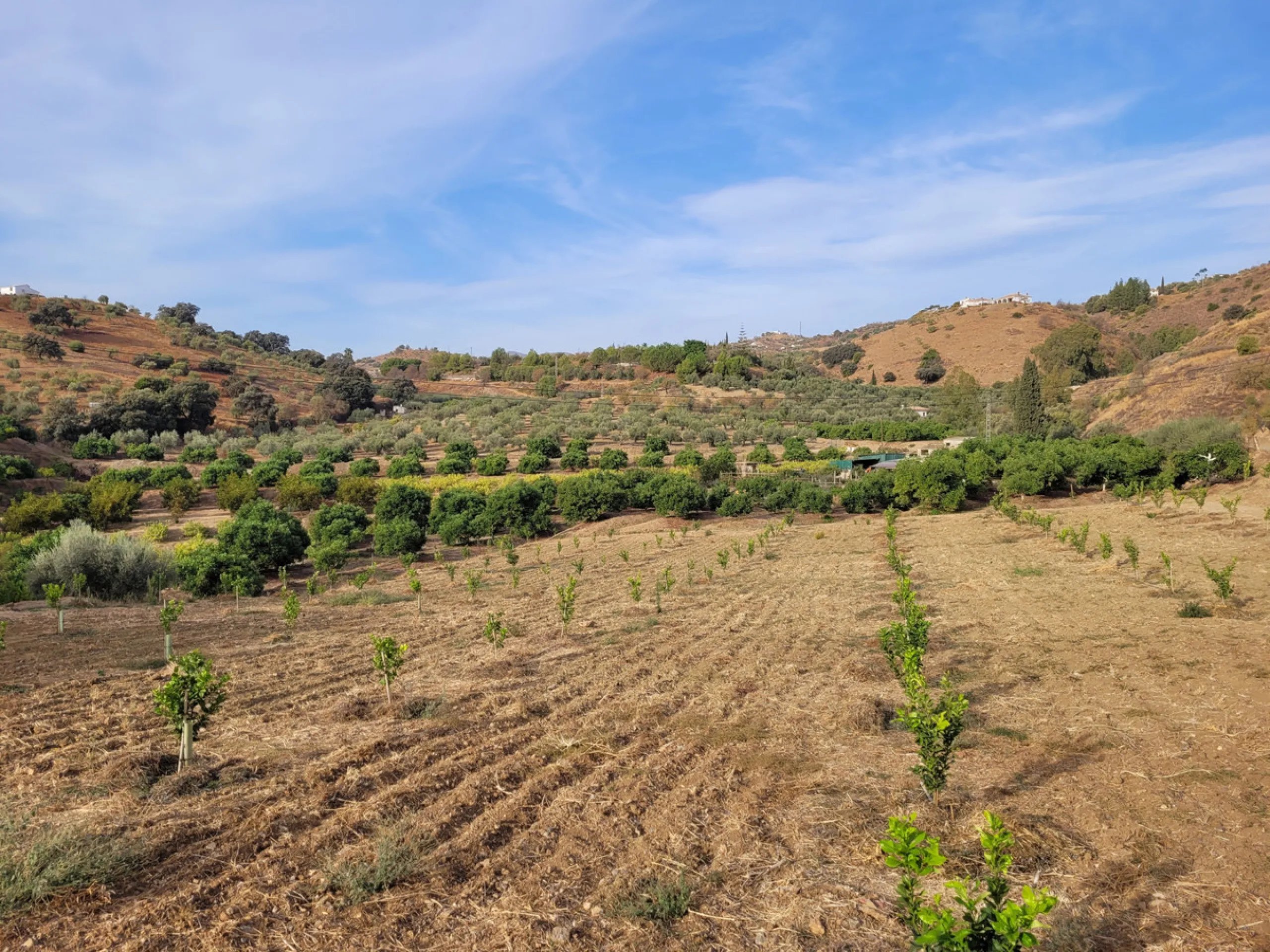 Plot - Land в продаже в Guaro, Málaga. Площадь участка 110000 м²