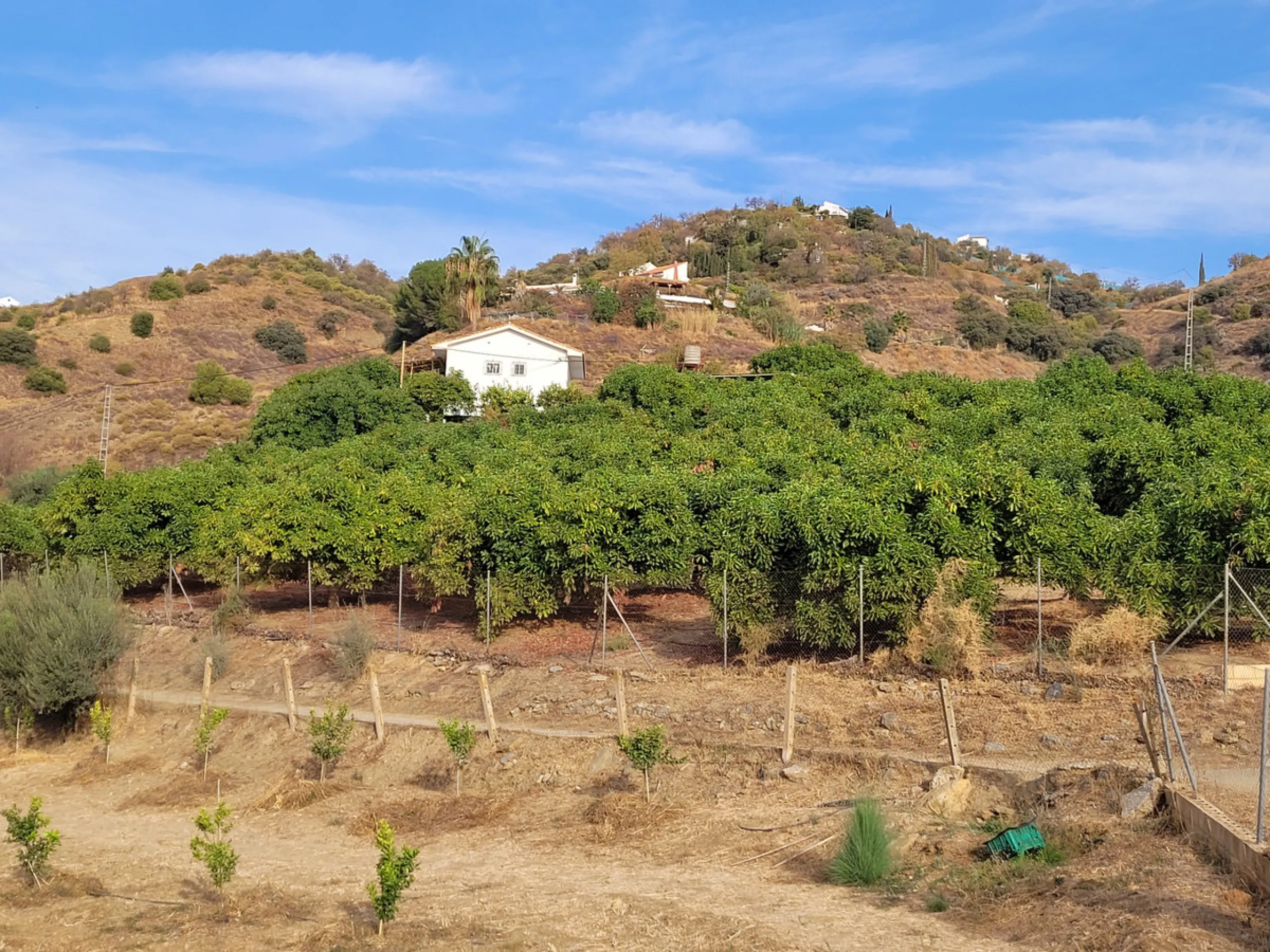 Plot - Land в продаже в Guaro, Málaga. Площадь участка 110000 м²