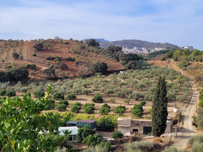 Plot - Land в продаже в Guaro, Málaga. Площадь участка 110000 м²