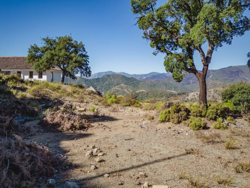 West facing plot of 3941m2 very close to the North entrance of La Zagaleta with views to the beautiful green nature and impressive mountains. Here you can build your dream home in a super secure community (24h armed security) with 2 private 18-hole golf c