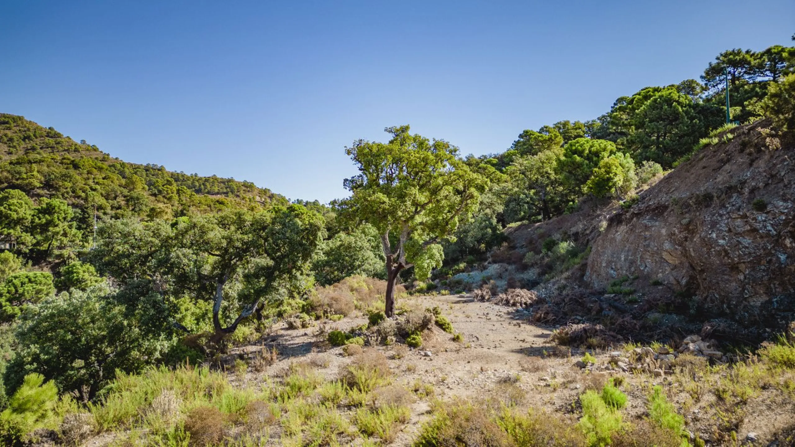 West facing plot of 3941m2 very close to the North entrance of La Zagaleta with views to the beautiful green nature and impressive mountains. Here you can build your dream home in a super secure community (24h armed security) with 2 private 18-hole golf c