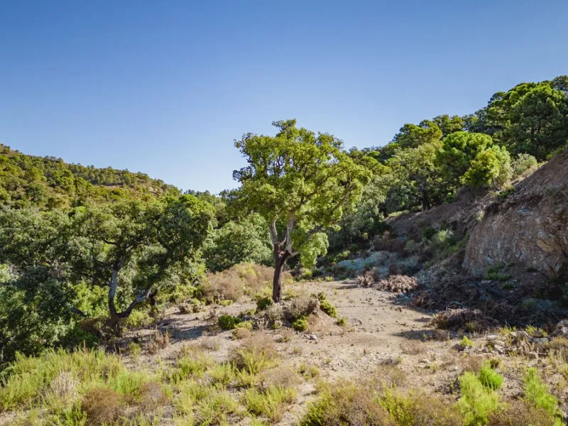 West facing plot of 3941m2 very close to the North entrance of La Zagaleta with views to the beautiful green nature and impressive mountains. Here you can build your dream home in a super secure community (24h armed security) with 2 private 18-hole golf c